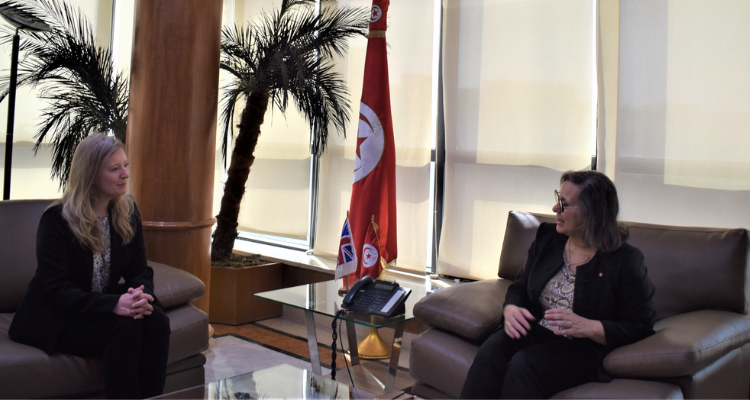 Tunisia, Britain: strengthening cooperation in the field of energy
