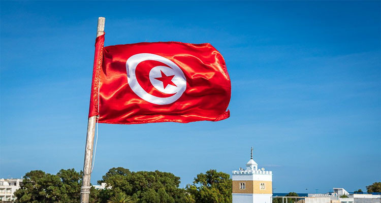 Tunisia: 24 parties will participate in constitutional referendum campaign