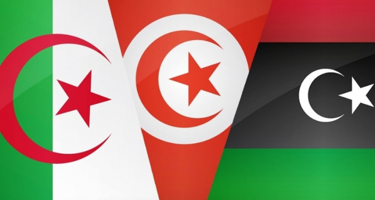 A working visit of the Algerian and Libyan Foreign Ministers to Tunis
