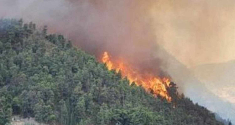 15 fires recorded in 10 governorates between July 19 and 26