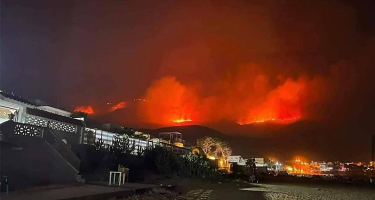 Algeria: at least 26 killed in forest fires