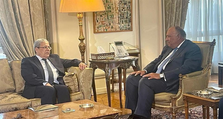 A meeting between the Tunisian and Egyptian Foreign Ministers