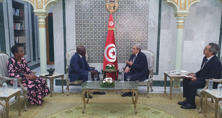 Tunisia, Cameroon: discussing preparations for the Joint Committee on 2023
