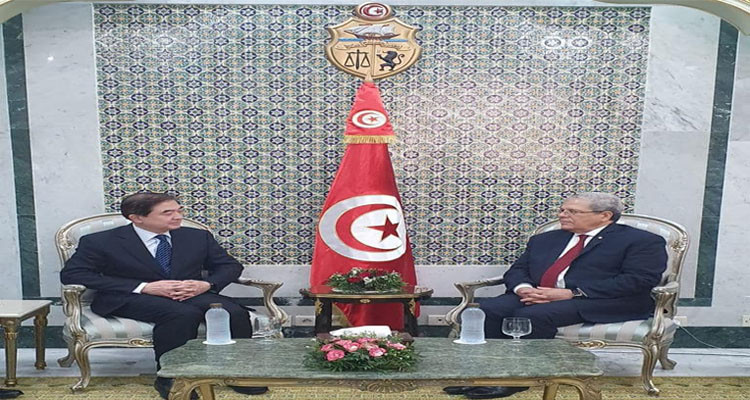 Tunisian FM receives the Chinese Special Envoy