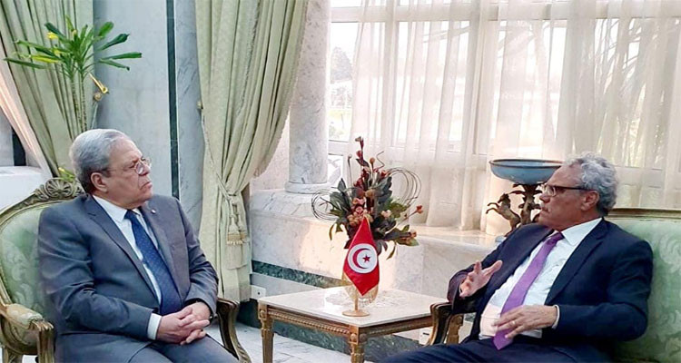 The Tunisian FM received the Director General of the AAEA