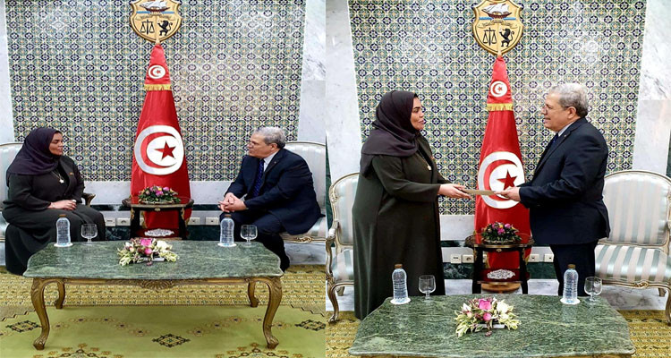 The Tunisian FM received the New Emirati Ambassador to Tunisia