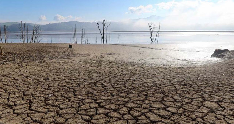 Tunisia: water supplies to be cut for 7 hours at night amid drought