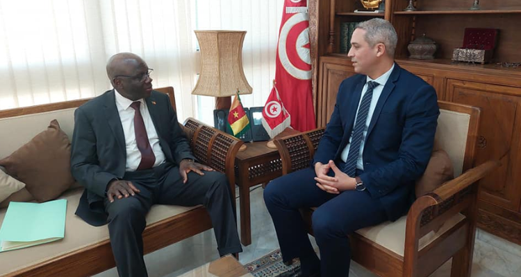 Tunisia, Cameroon: agreement on developing touristic cooperation