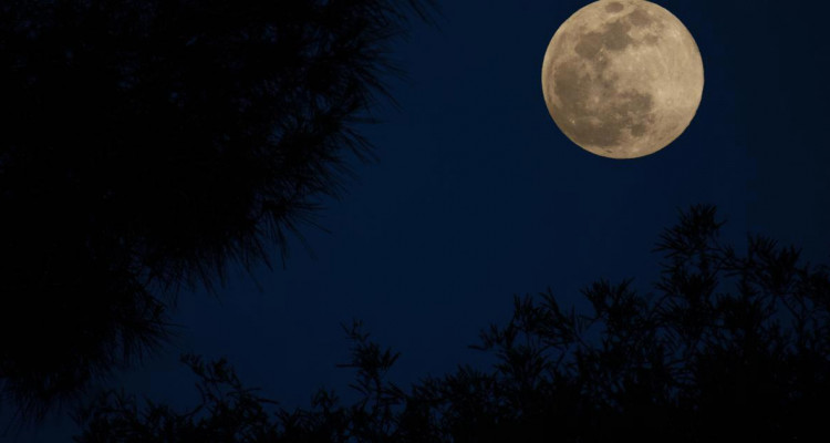 Friday May 5: A penumbral Lunar eclipse