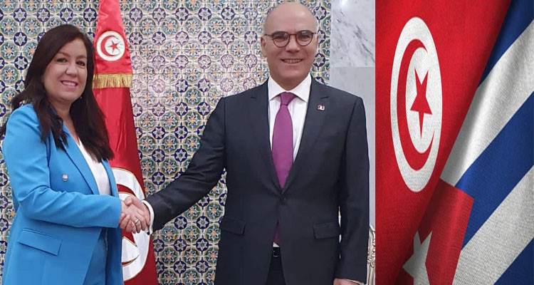 Tunisia, Cuba: reviewing areas of bilateral cooperation