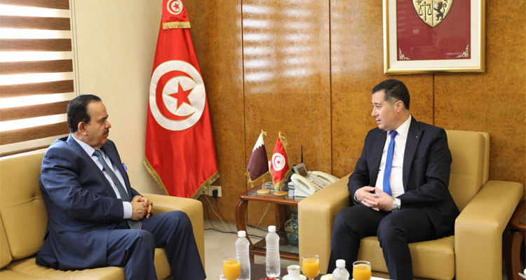 Tunisia, Qatar: exchanging views on joint cooperation in transport