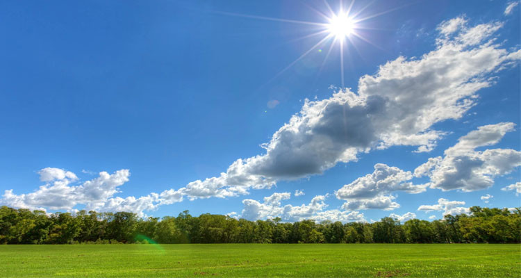Today's weather