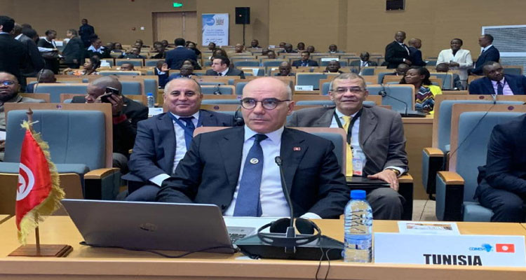 Tunisia participates in the 22nd Summit of COMESA in Zambia