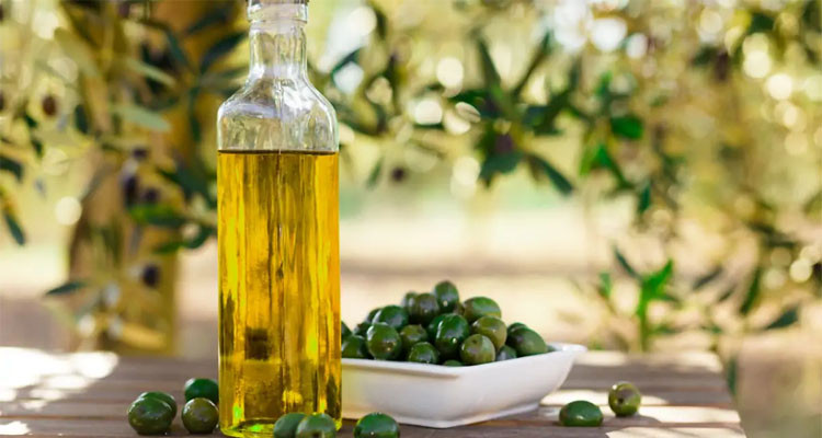 Tunisia: Olive oil export revenues rise by 36.9%