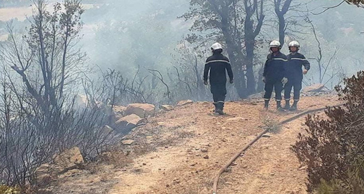 President Saied visits Tabarka after the outbreak of several fires