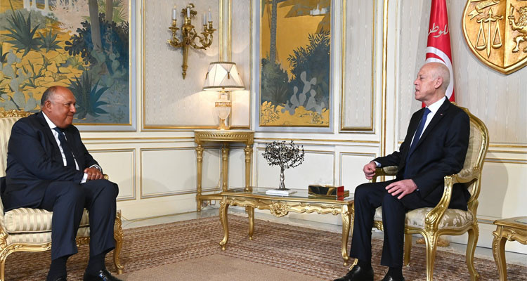 Tunisian President, Egyptian FM: discussing files of common interest
