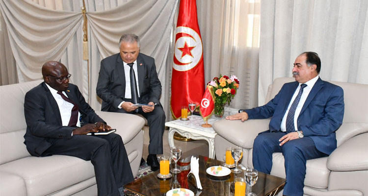 Tunisia, Cameroon: discussing irregular migration crisis