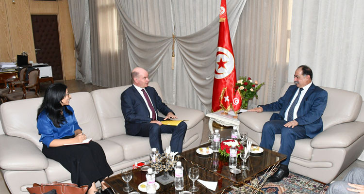 Tunisia, Switzerland: Exchanging Views on Irregular Migration