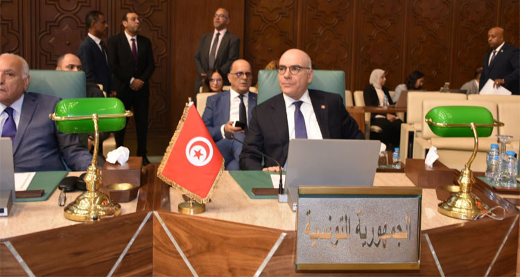 Cairo:Nabil Ammar Affirms Tunisia’s Absolute Support for Palestinian People
