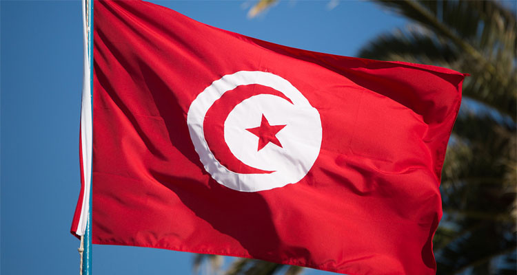 Tunisia expresses reservations over Arab League’s Resolution about Gaza