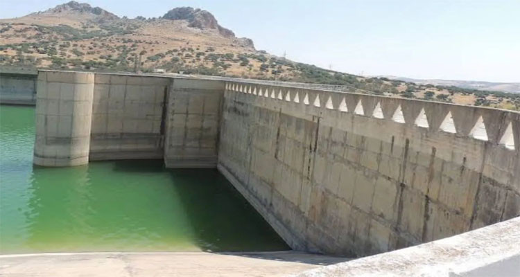Tunisia: Dam Fill Rate Stands at 27%