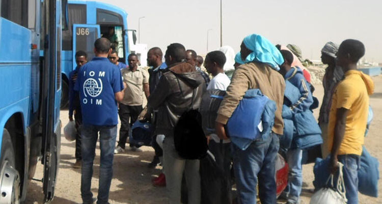 IOM Facilitates Safe Return of 392 Migrants from Tunisia