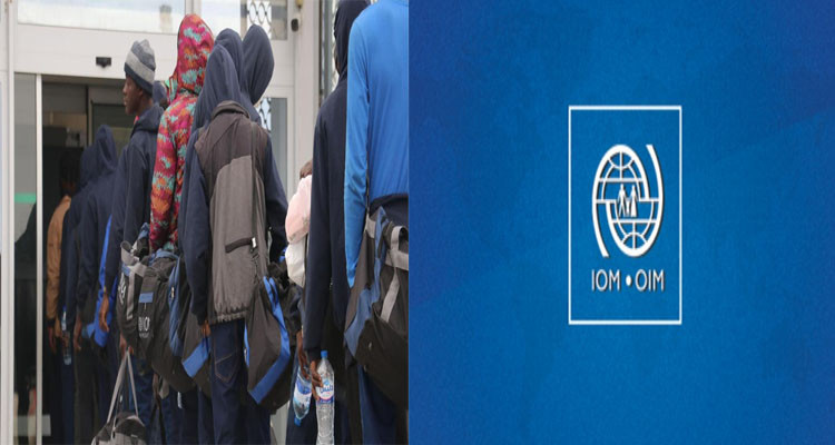 IOM: Nearly 400 migrants repatriated from Tunisia