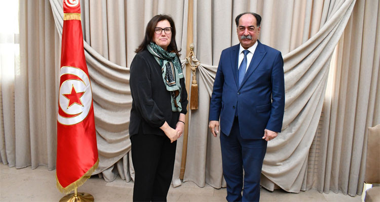 The Tunisian Interior Minister receives the PNUD Resident Representative
