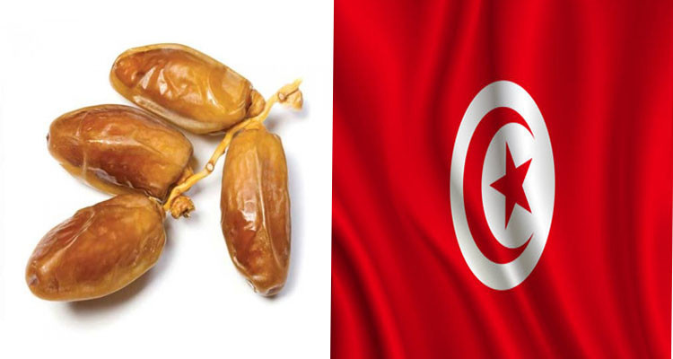 Tunisia’s date export revenues rise by 23.4% through January 2024
