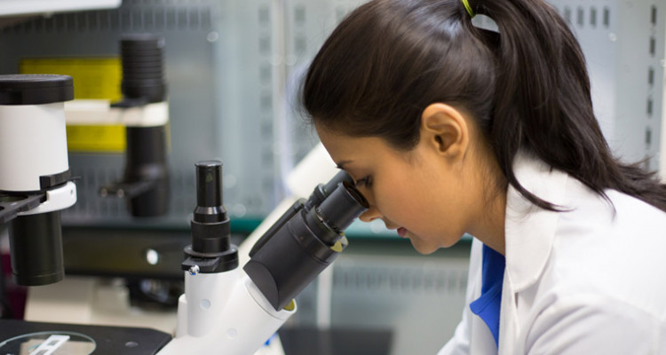 Tunisia's research sector: Women represent 55% of researchers