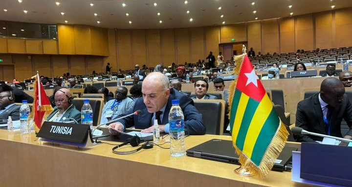 Minister Nabil Ammar advocates education and innovation at AU 44th Session