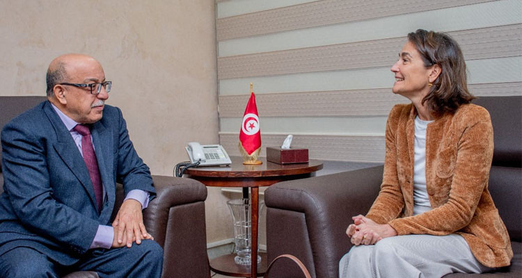 Tunisia, Netherlands: discussing joint efforts in employment and vocational training