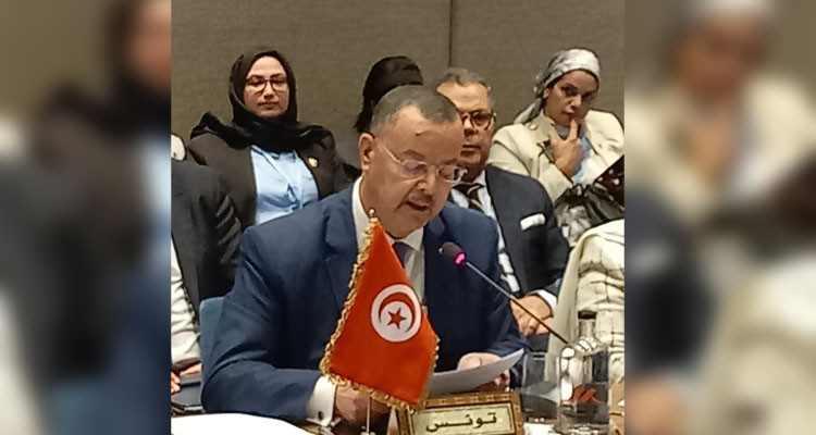 Tunisian Health Minister urges priority for Palestinian health crisis