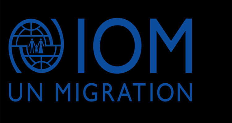 IOM helps 161 migrants voluntarily return from Tunisia to Gambia