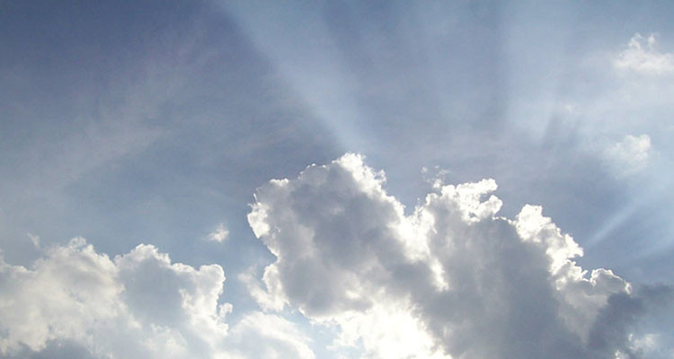 Today's Weather