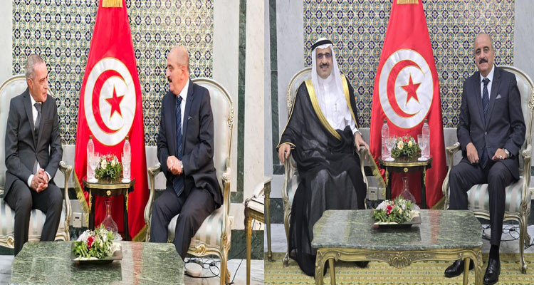 Tunisian FM Received the Saudi and Algerian Ambassadors