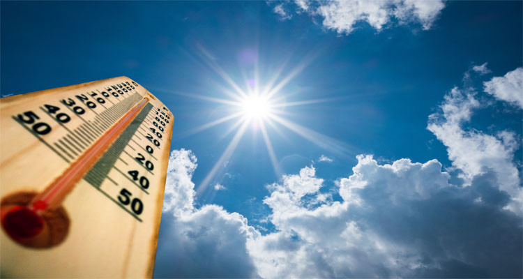 Today's Weather