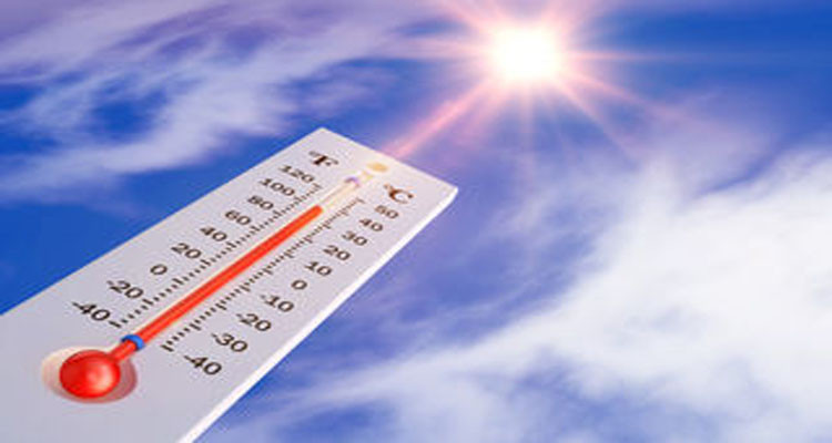 Today's Weather