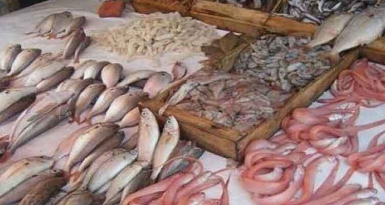 الحرس البحري بسوسة يحجز 1 طن من المنتجات البحرية غير الصالحة للاستهلاك البشري