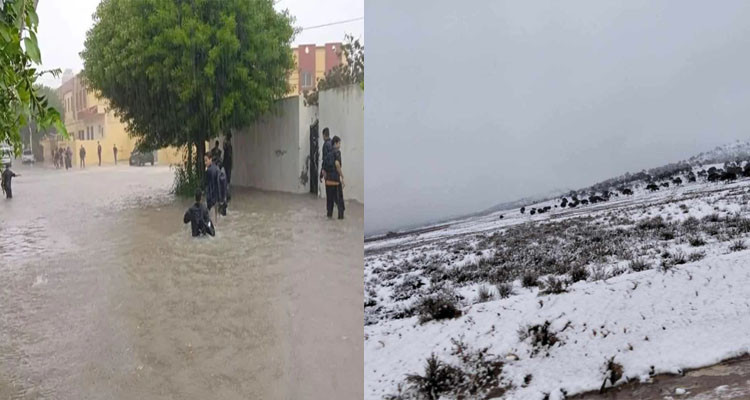 القصرين: تعليق الدروس بكافة المؤسسات التربوية اليوم وغدا بسبب الثلوج والأمطار