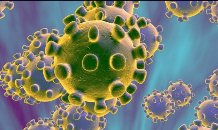 Danemark : premier cas de contamination de Coronavirus