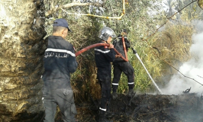 السيطرة على حريق بواحة قابس الوسطى أتى على 30 أصلا من أشجار النخيل
