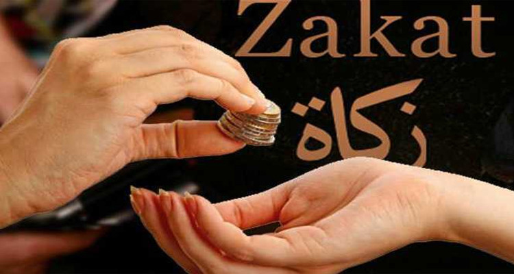زكاة الفطر