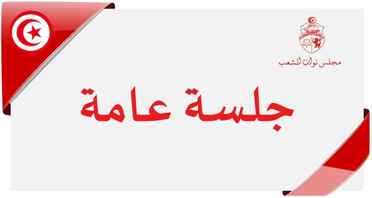 جلسة عامة