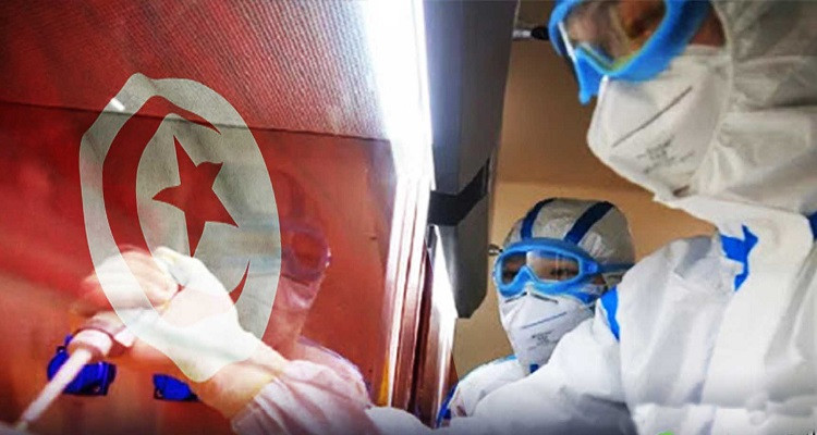 فيروس كورونا القصرين