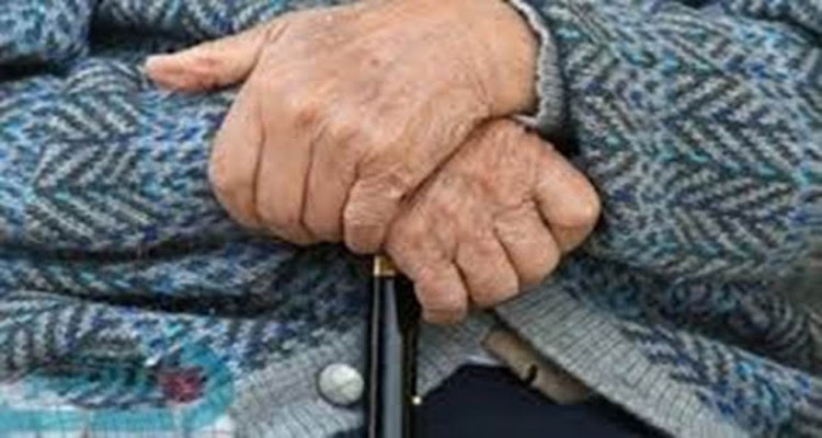 مسنة