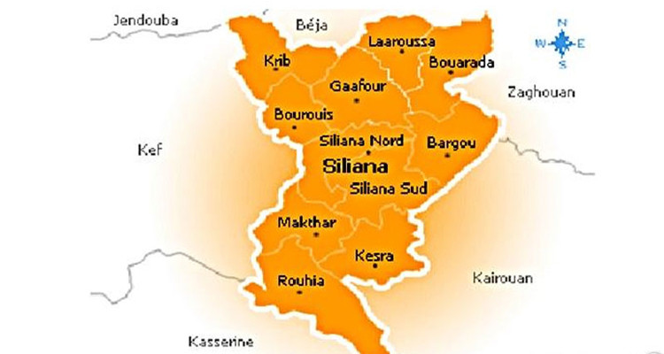 سليانة