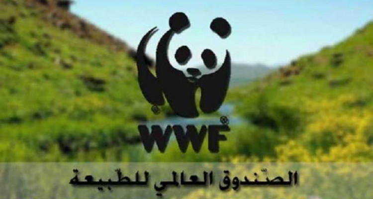 الصندوق العالمي للطبيعة يعارض استعمال الأكياس البلاستيكية لتعبئة الاسمنت