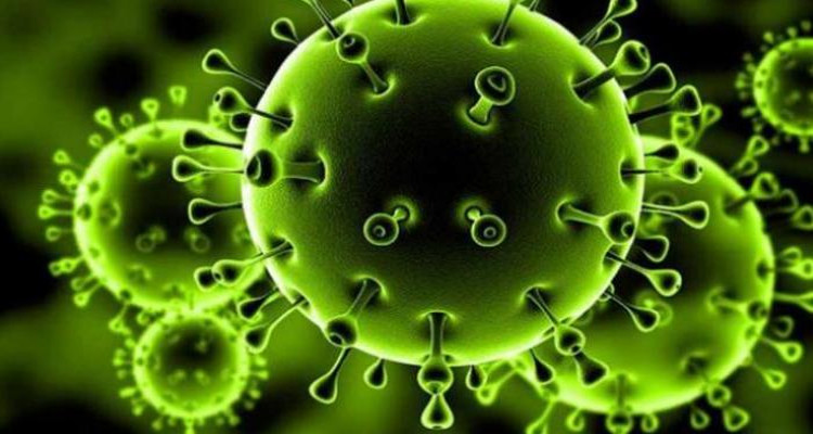 فيروس كورونا