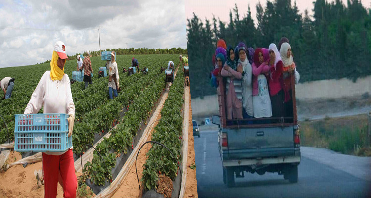 العاملات الفلاحيات